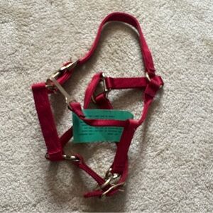 Hamilton Red Horse Halter with Adjustable Straps
